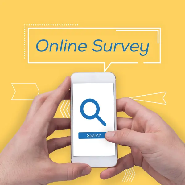 website experience surveys