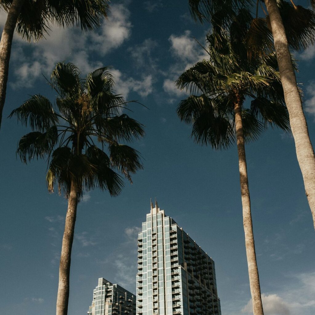 digital marketing agency tampa