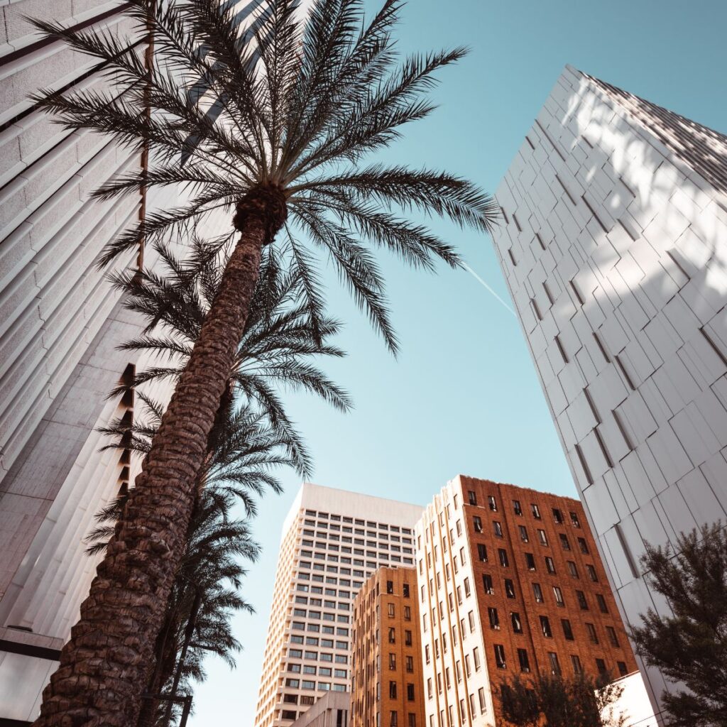 phoenix digital marketing