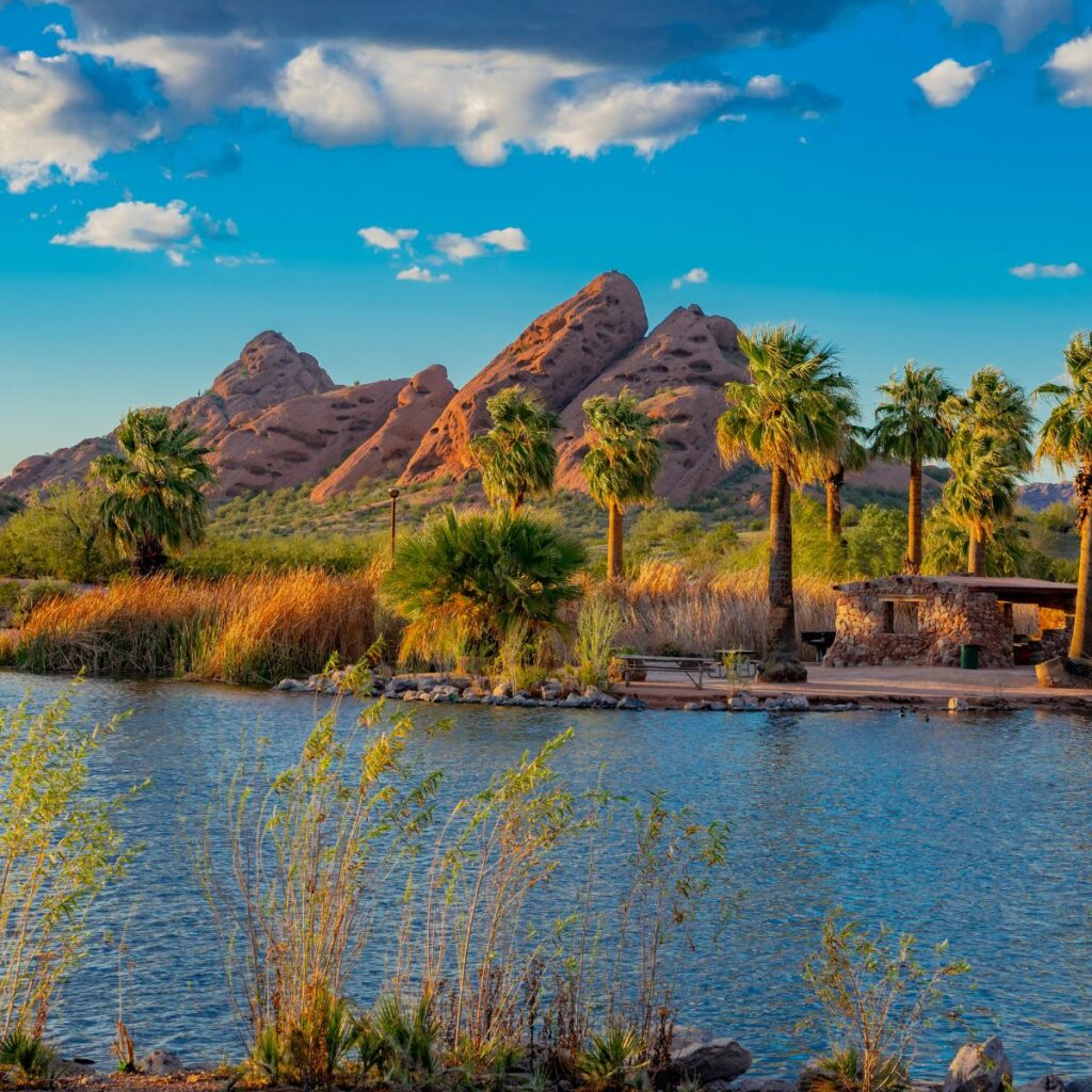 seo services phoenix